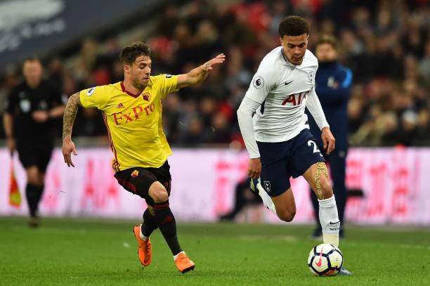 全能性在替 全能性在替