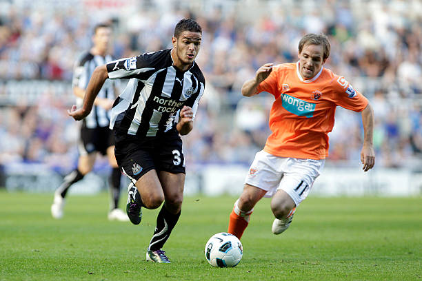 导致了他们 导致了他们